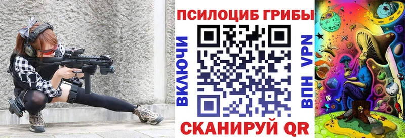 Псилоцибиновые грибы Psilocybine cubensis  Чебаркуль 